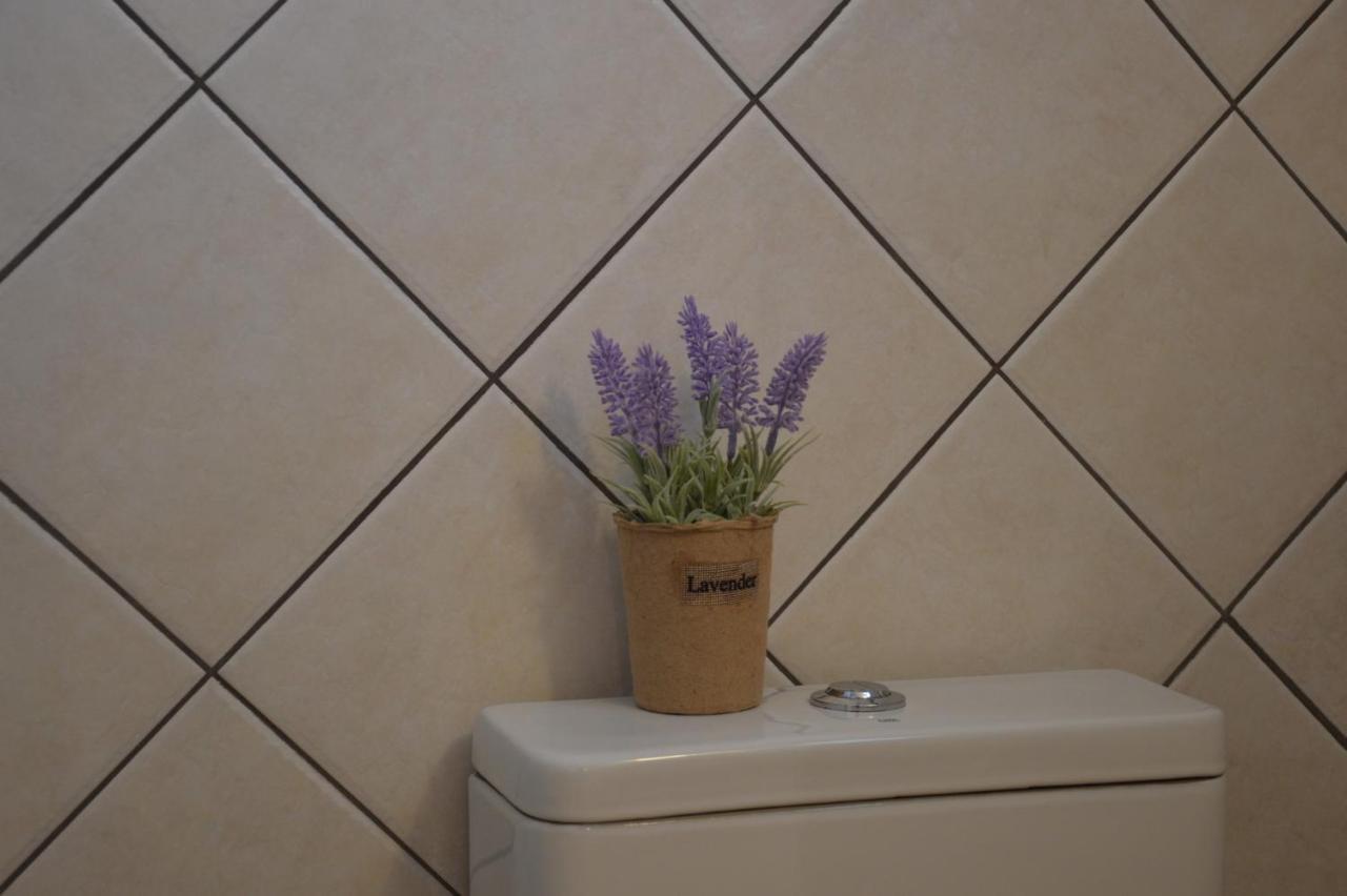 Cute Studio In Milos Tripití Dış mekan fotoğraf